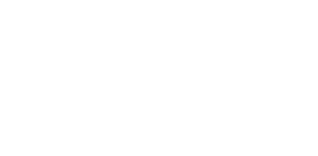 Logo LA MAISON DU PLATRE blanc