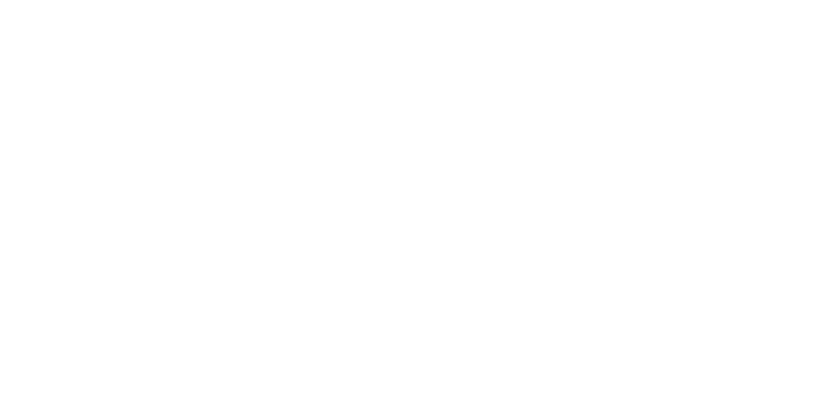 Logo LA MAISON DU PLATRE blanc