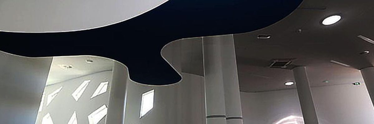 La Maison du Plâtre : Quand le staff sublime l'architecture de la Médiathèque "La Passerelle"